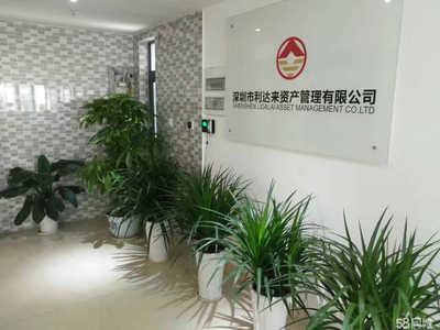 深圳市利達(dá)來資產(chǎn)管理 企業(yè)管理咨詢的專業(yè)化探索與實(shí)踐