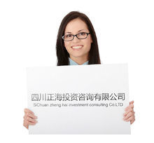四川正海投資咨詢 企業管理咨詢的價值與實踐路徑
